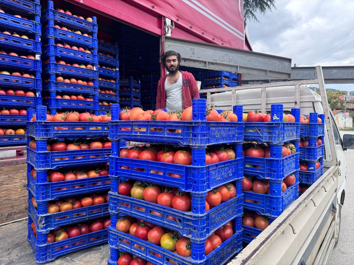 Isparta'da merkeze bağlı 2 bin 112 nüfuslu Deregümü köyünde 18 yıl önce alternatif ürün olarak...