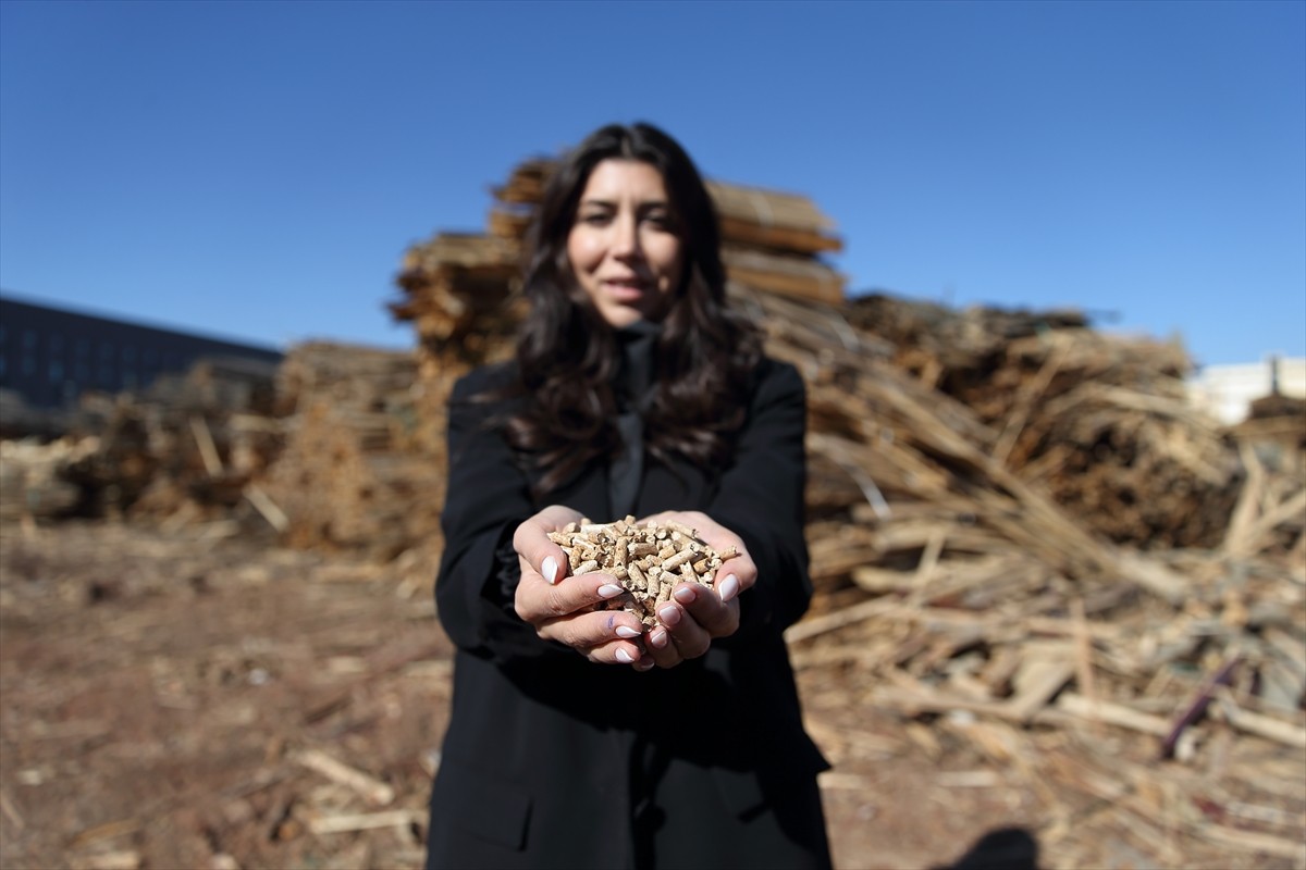 Çorum'da kadın girişimci Ebru Zorlu'nun Tarımsal Kalkınmayı Destekleme Kurumu (TKDK) desteğiyle...