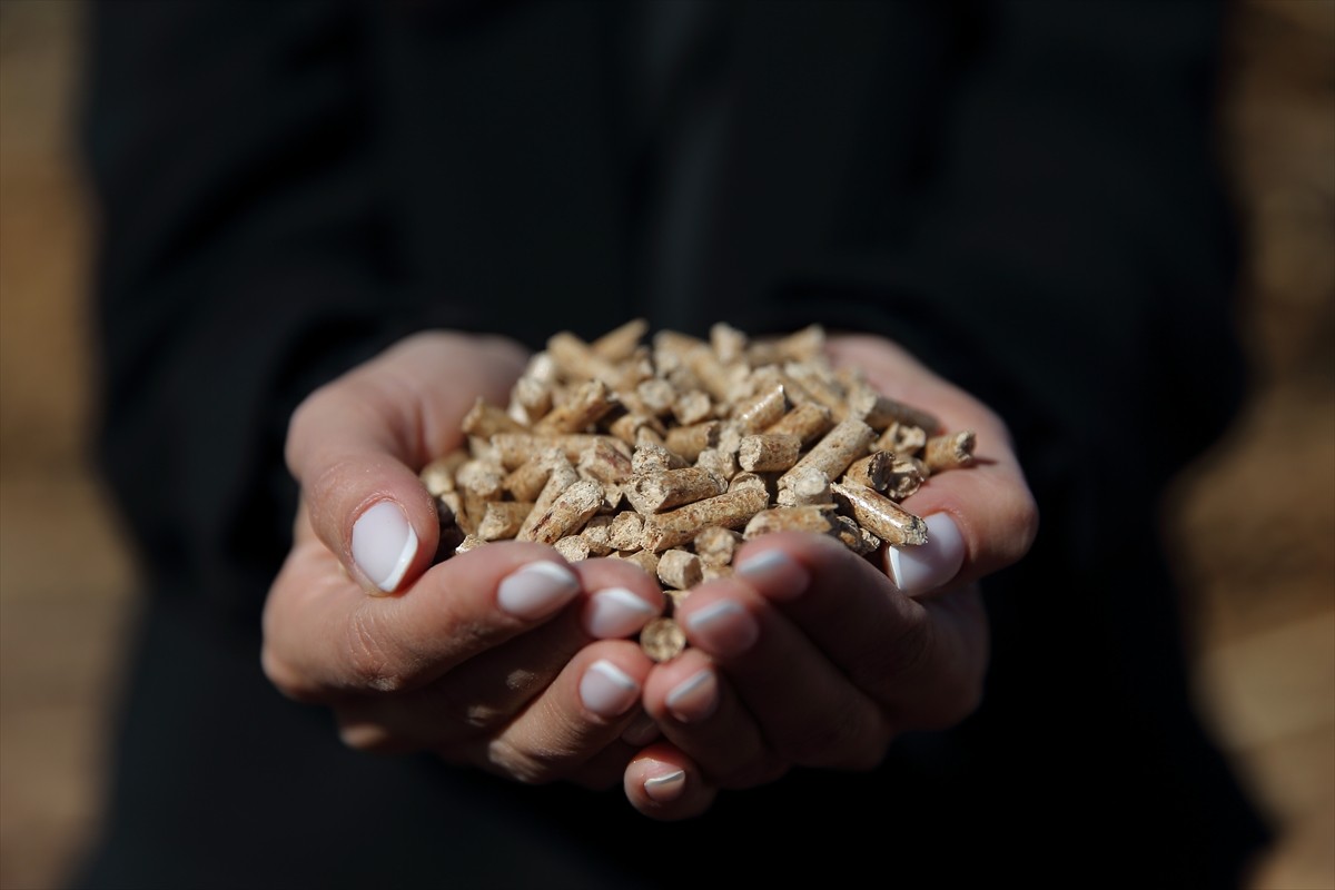 Çorum'da kadın girişimci Ebru Zorlu'nun Tarımsal Kalkınmayı Destekleme Kurumu (TKDK) desteğiyle...