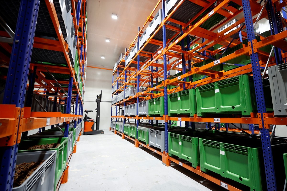 Türkiye'nin kuru meyve ihracatının yüzde 25'inin karşılandığı Malatya'da, zirai dondan etkilenen...