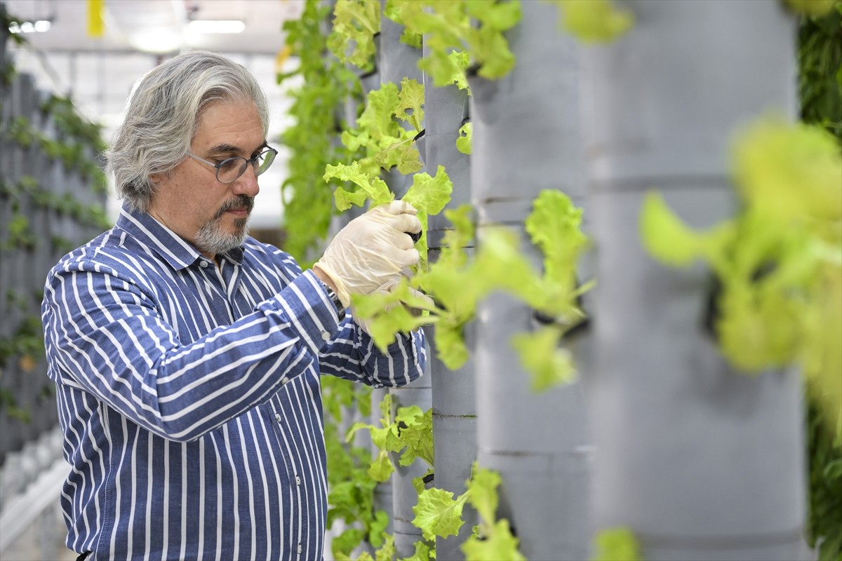 Türkiye Enerji, Nükleer ve Maden Araştırma Kurumu (TENMAK) bünyesinde gerçekleştirilen topraksız...