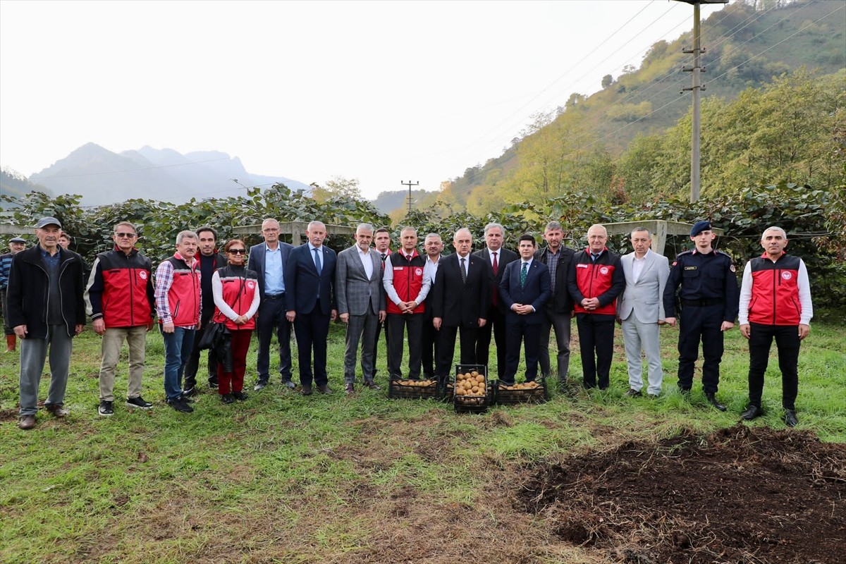 Ordu'nun Gülyalı ilçesinde kivi hasadına başlandı. Vali Muammer Erol, ilçenin Turnasuyu...