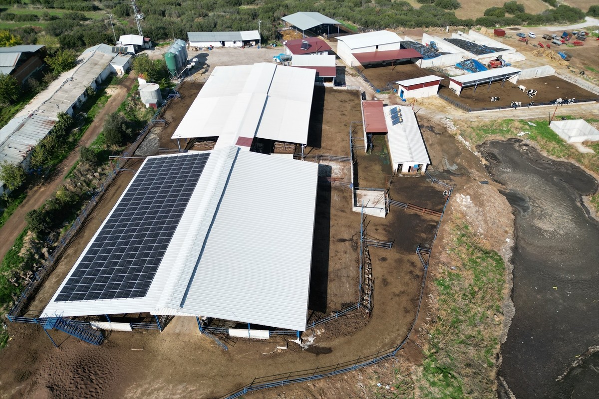 Manisa'nın Kula ilçesinde, Tarım ve Kırsal Kalkınmayı Destekleme Kurumundan (TKDK) aldığı üç ayrı...