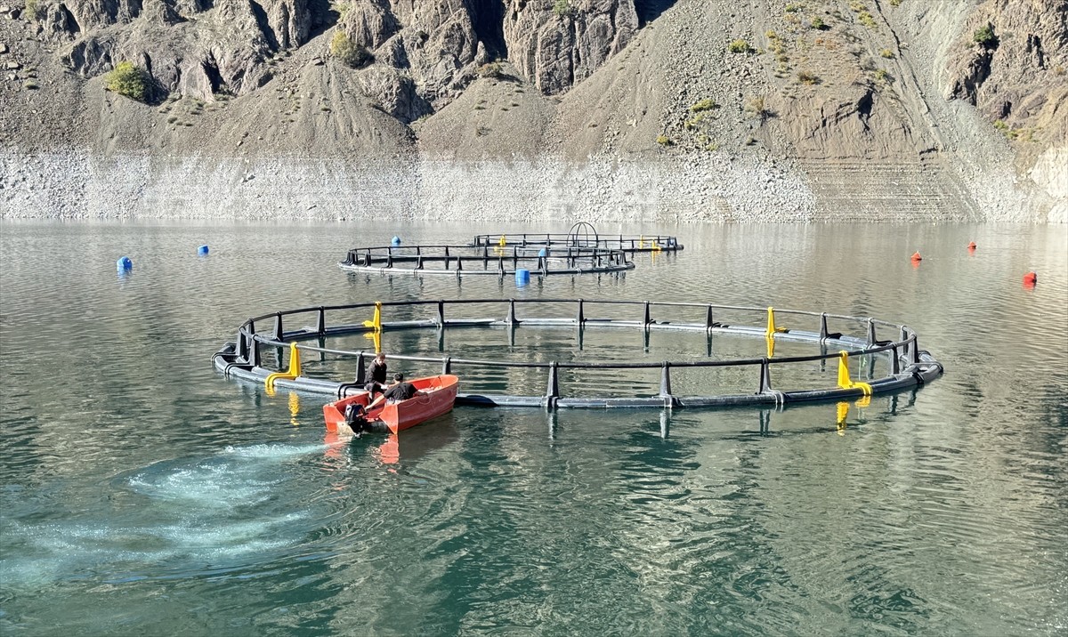 Artvin'de Çoruh Nehri üzerindeki baraj gölleri ve Karadeniz açıklarında kurulan kafeslerde...