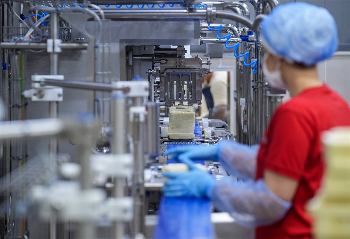 Tarım ve Kırsal Kalkınmayı Destekleme Kurumu (TKDK) tarafından sağlanan hibeler, İzmir'deki süt...