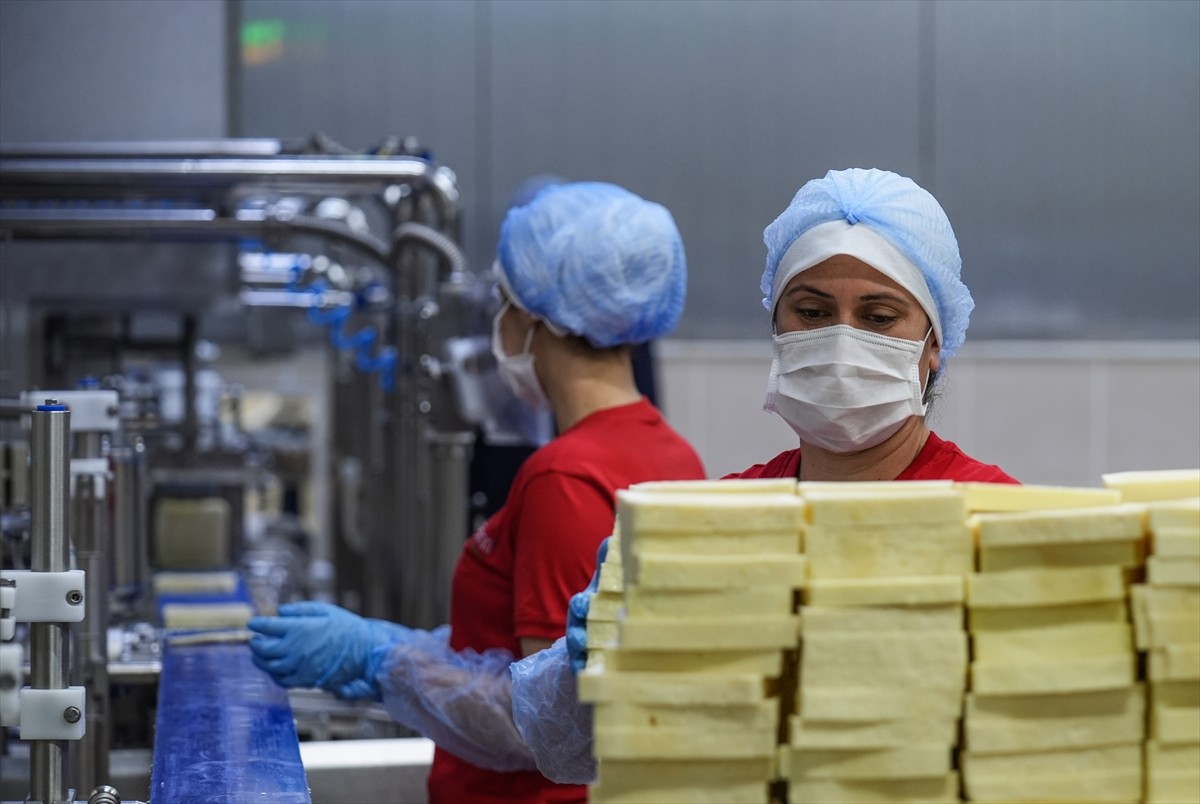 Tarım ve Kırsal Kalkınmayı Destekleme Kurumu (TKDK) tarafından sağlanan hibeler, İzmir'deki süt...