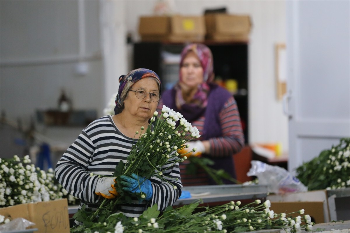 Florasında 3 bin 500'den fazla endemik bitki türünü barındıran Türkiye, özellikle kesme çiçek, iç...