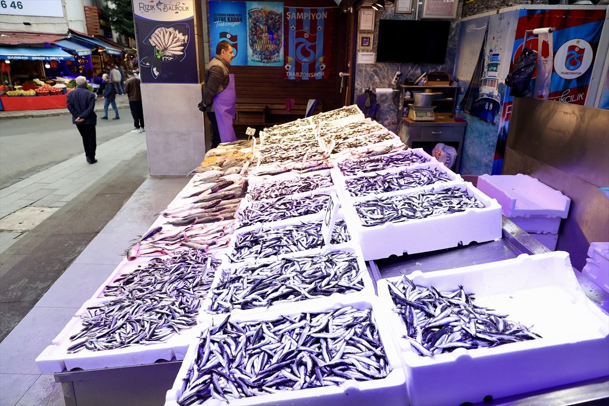 Trabzon'da balıkçı tezgahlarını süsleyen hamsi kilogramı 75 liradan satışa sunuluyor.