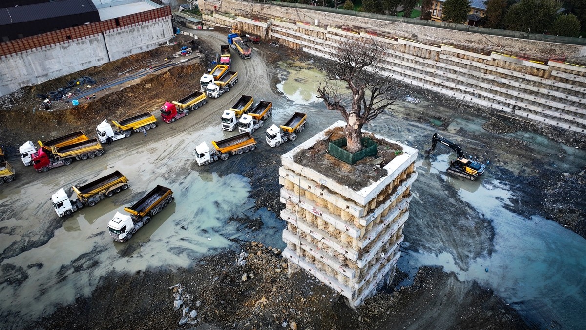 Haşimoğlu 1. Ulusal Doğa, Çevre, Sıfır Atık ve Geri Dönüşüm Fotoğraf Yarışması'nda Anadolu Ajansı...