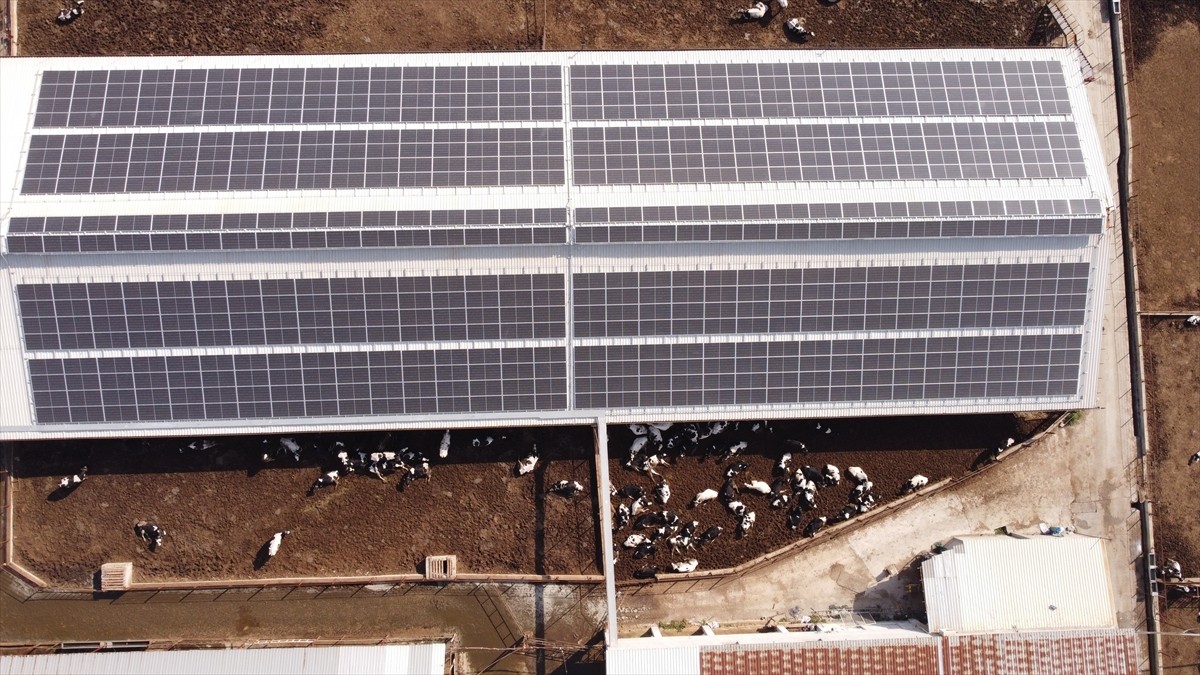 Tarım ve Orman Bakanlığı bünyesinde faaliyet gösteren Tarım Orman Gençlik Konseyi, gençlerin...