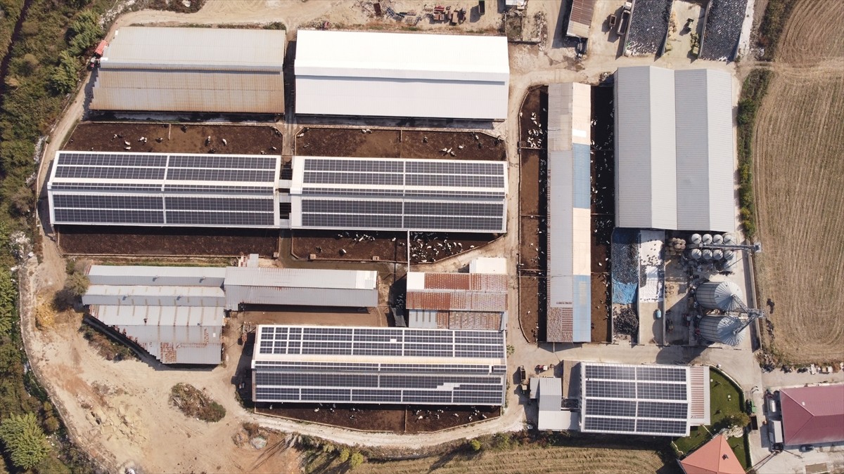 Tarım ve Orman Bakanlığı bünyesinde faaliyet gösteren Tarım Orman Gençlik Konseyi, gençlerin...