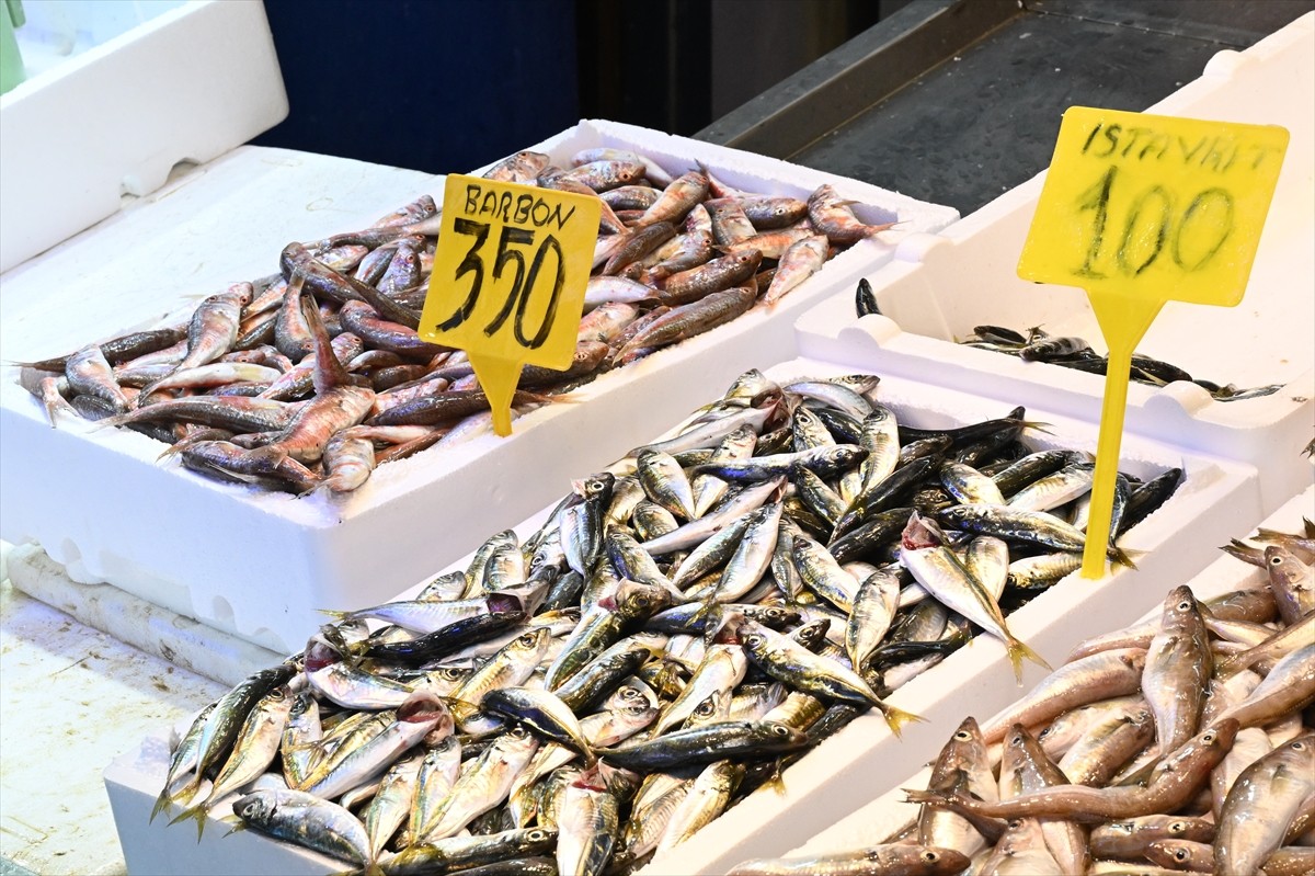 Trabzon'da balıkçı tezgahlarını süsleyen hamsinin kilogramı 50 liradan satışa sunuluyor.