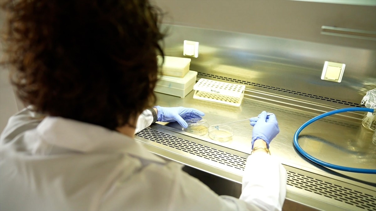 Türkiye Enerji, Nükleer ve Maden Araştırma Kurumu (TENMAK) bünyesindeki laboratuvarlarda yüksek...