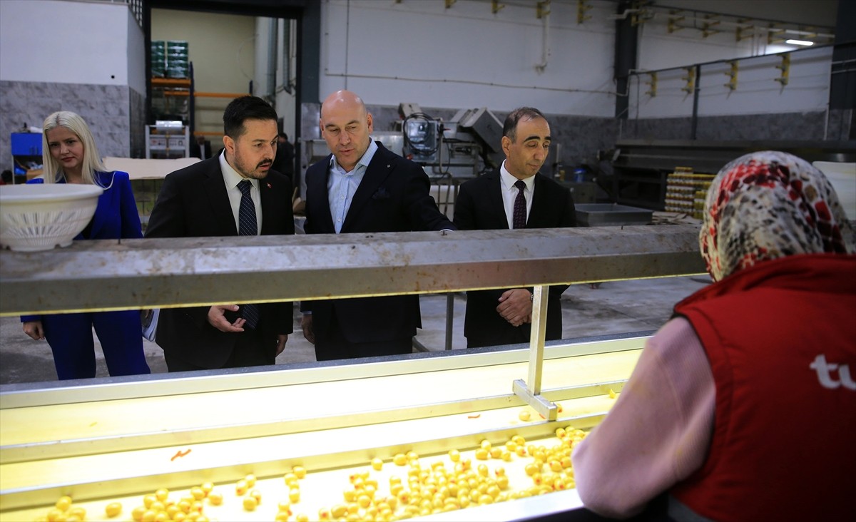 Manisa'nın Akhisar ilçesindeki Zeytin İhtisas Organize Sanayi Bölgesi'nde yürütülen yatırım...