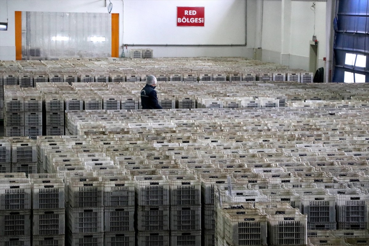 Marmara Zeytin Tarım Satış Kooperatifleri Birliği (Marmarabirlik) Yönetim Kurulu Başkanı Ali...