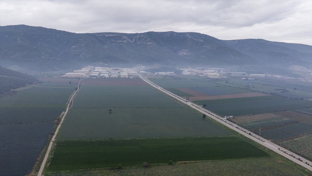 Türkiye'nin kışlık sebze üretim merkezlerinden İzmir'de üreticiler Tarım ve Orman Bakanlığının...