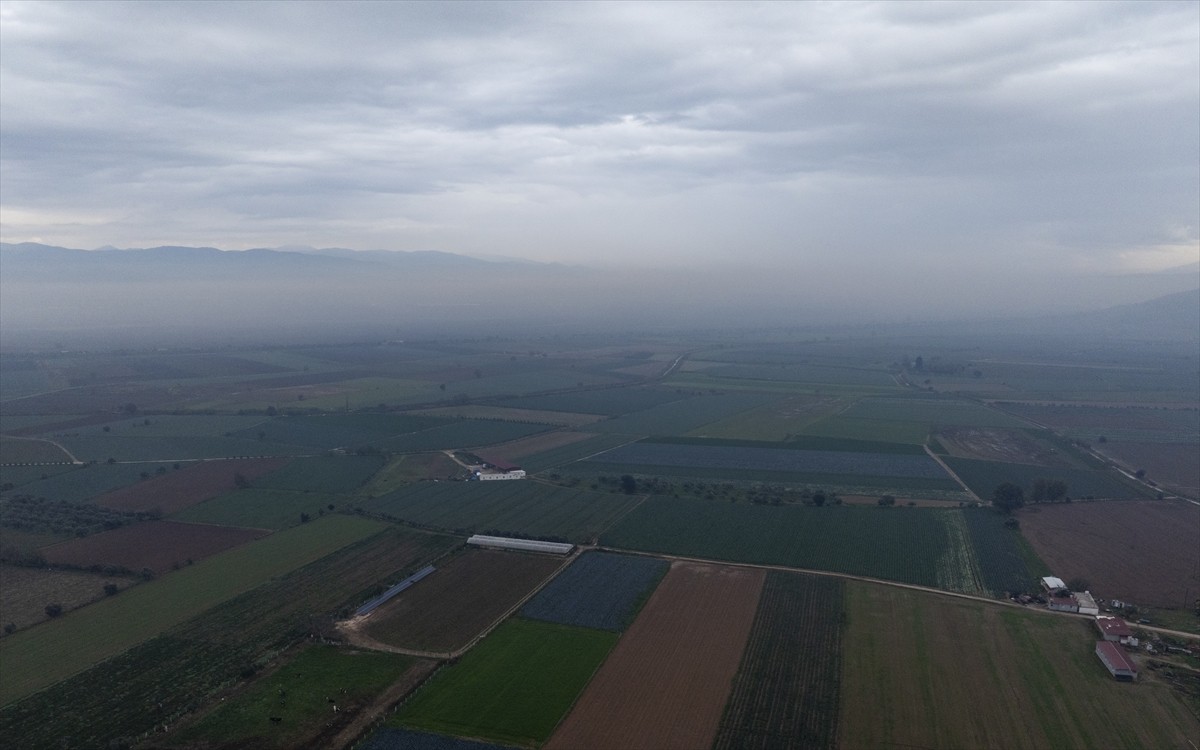 Türkiye'nin kışlık sebze üretim merkezlerinden İzmir'de üreticiler Tarım ve Orman Bakanlığının...