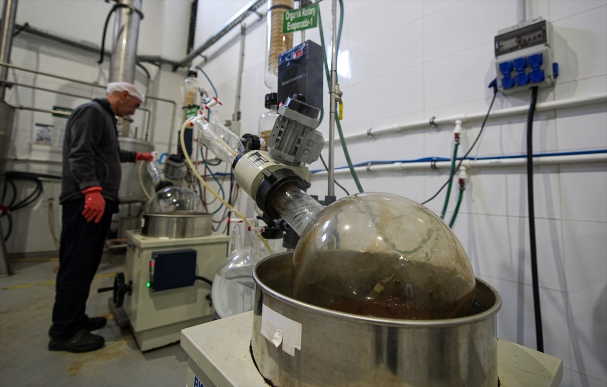 Kozmetik Üreticileri ve Araştırmacıları Derneği (KÜAD) Başkanı Levent Kahrıman, AA muhabirine...