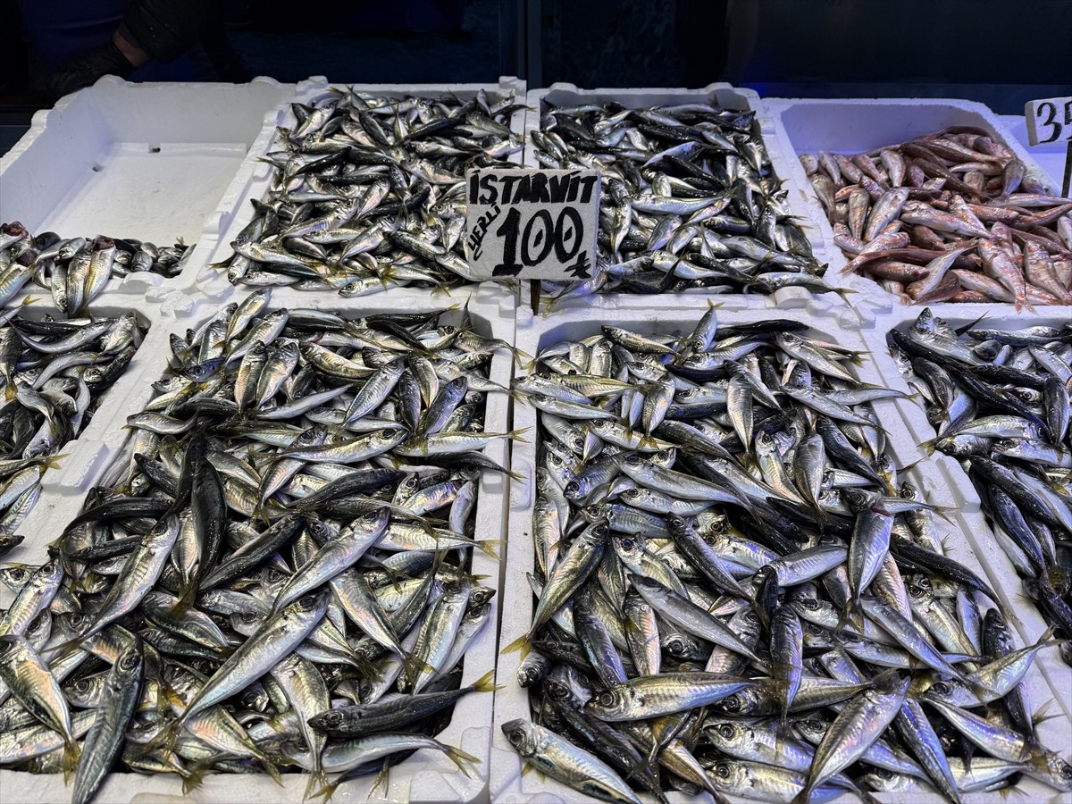 Trabzon'daki balıkçı tezgahlarında hamsi ve istavritin kilogramı 100 liradan satışa...