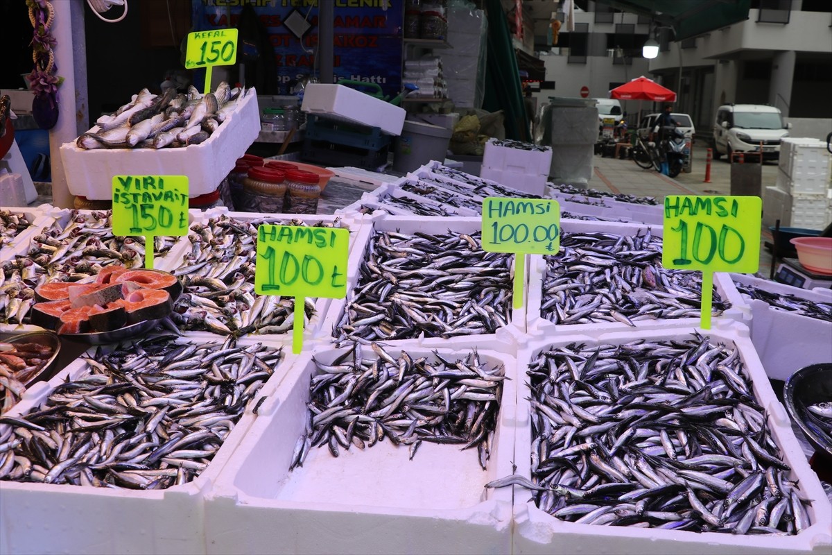 Rize'de balıkçı tezgahlarında hamsinin kilogramı 100 liradan satışa sunuluyor.