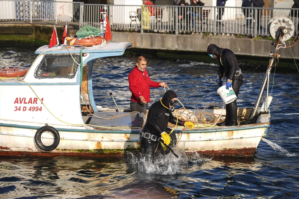 Tarım ve Orman Bakanlığı Balıkçılık ve Su Ürünleri Genel Müdürlüğü koordinasyonunda ve İstanbul İl...