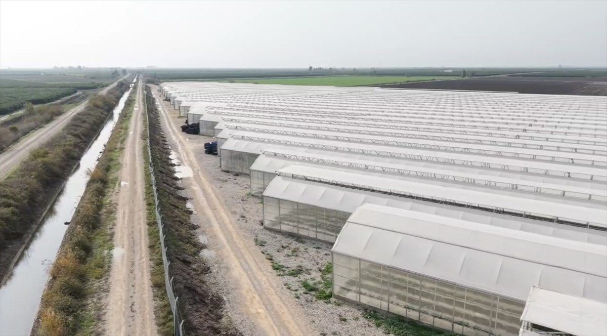 Bilgi iletişim teknolojileri ve savunma sanayi alanında faaliyet gösteren Forte Bilgi İletişim...