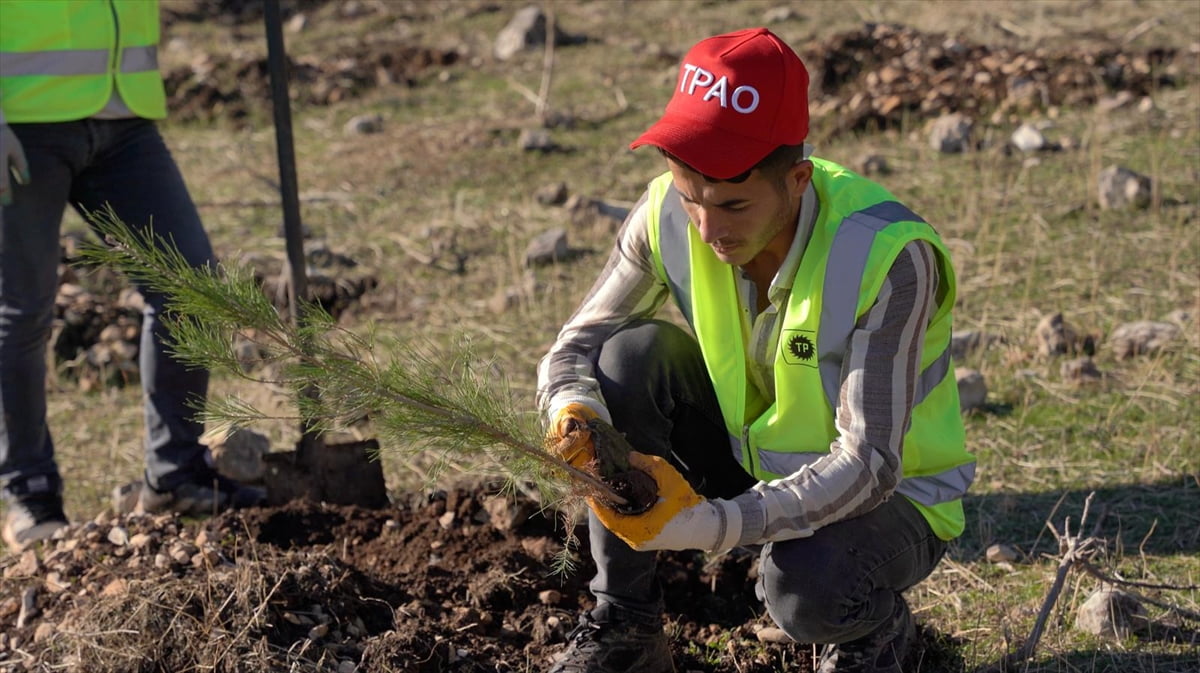 Enerji ve Tabii Kaynaklar Bakanlığı, petrol üretim üssüne dönüştürülen Şırnak Gabar'da fidan dikim...
