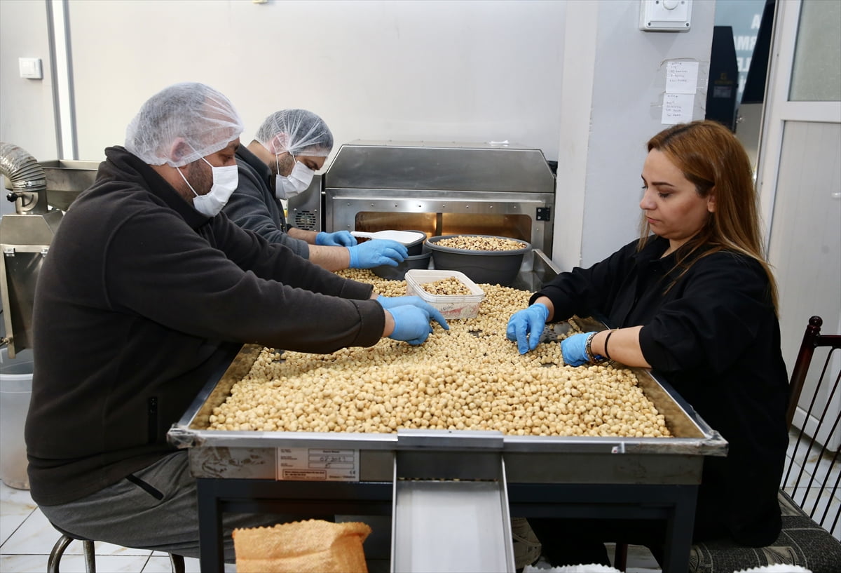 Tarım ve Kırsal Kalkınmayı Destekleme Kurumu'nun (TKDK) hibe desteğinden yararlanan kadın...