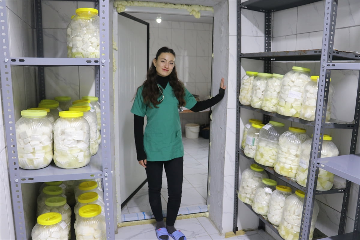 Adana'da, devlet desteğiyle başladığı besicilikte küçükbaş hayvan sayısını 47'den 100'e yükseltip...