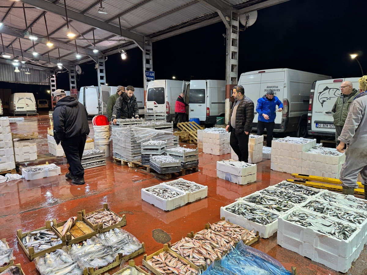Marmara Bölgesi'nin önemli balık ticaret merkezleri arasında yer alan Ereğli ve Başiskele balık...