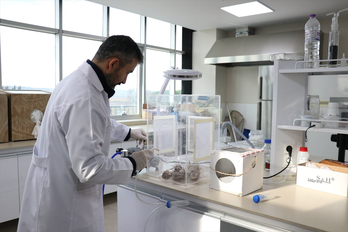 Batı Akdeniz Tarımsal Araştırma Enstitüsü Müdürlüğü (BATEM) laboratuvarlarında, yılda yaklaşık 40...