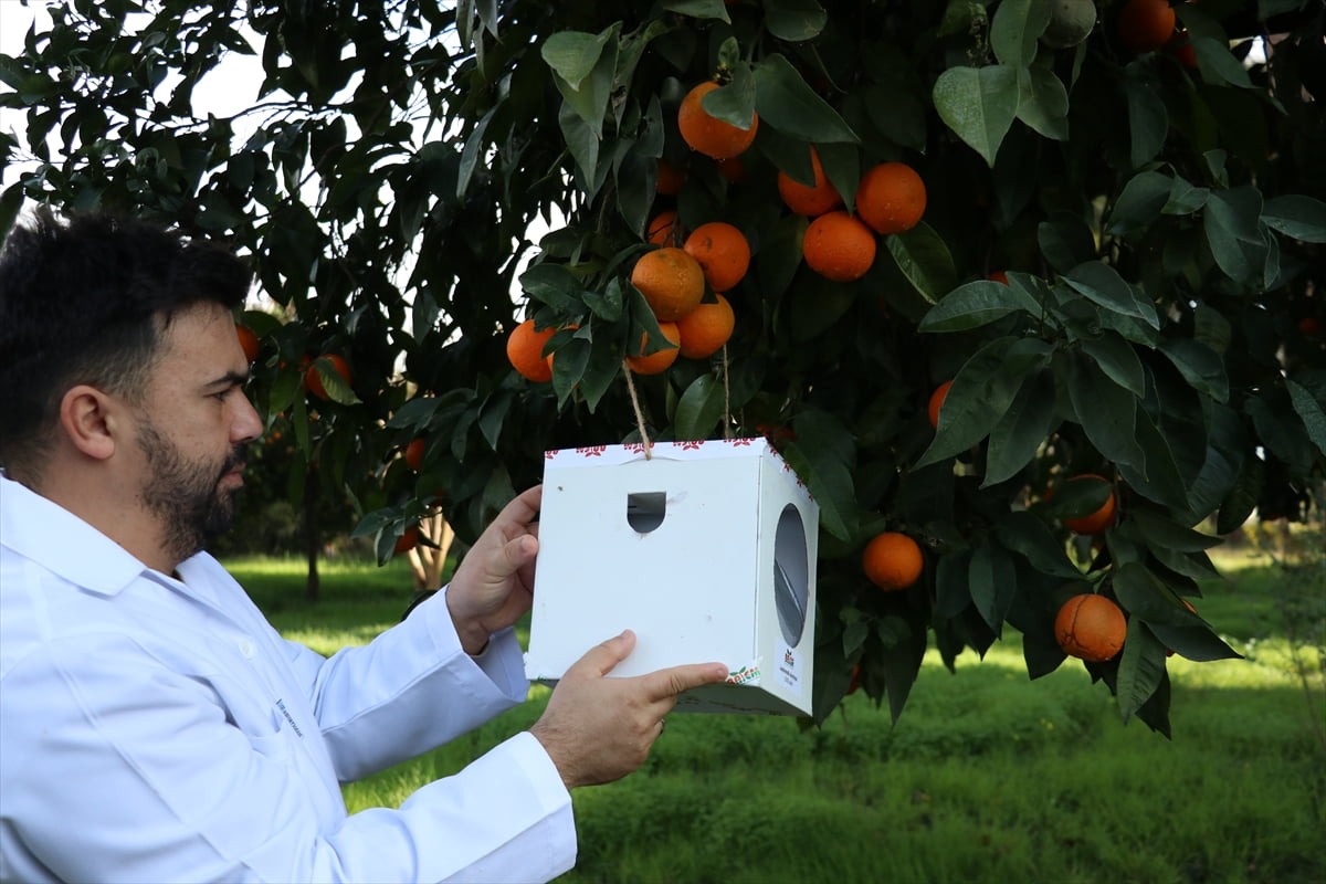 Batı Akdeniz Tarımsal Araştırma Enstitüsü Müdürlüğü (BATEM) laboratuvarlarında, yılda yaklaşık 40...