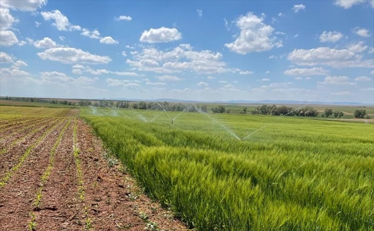 Konya'da tarımda suyun daha verimli kullanılması amacıyla geliştirilen akıllı sulama projesiyle...