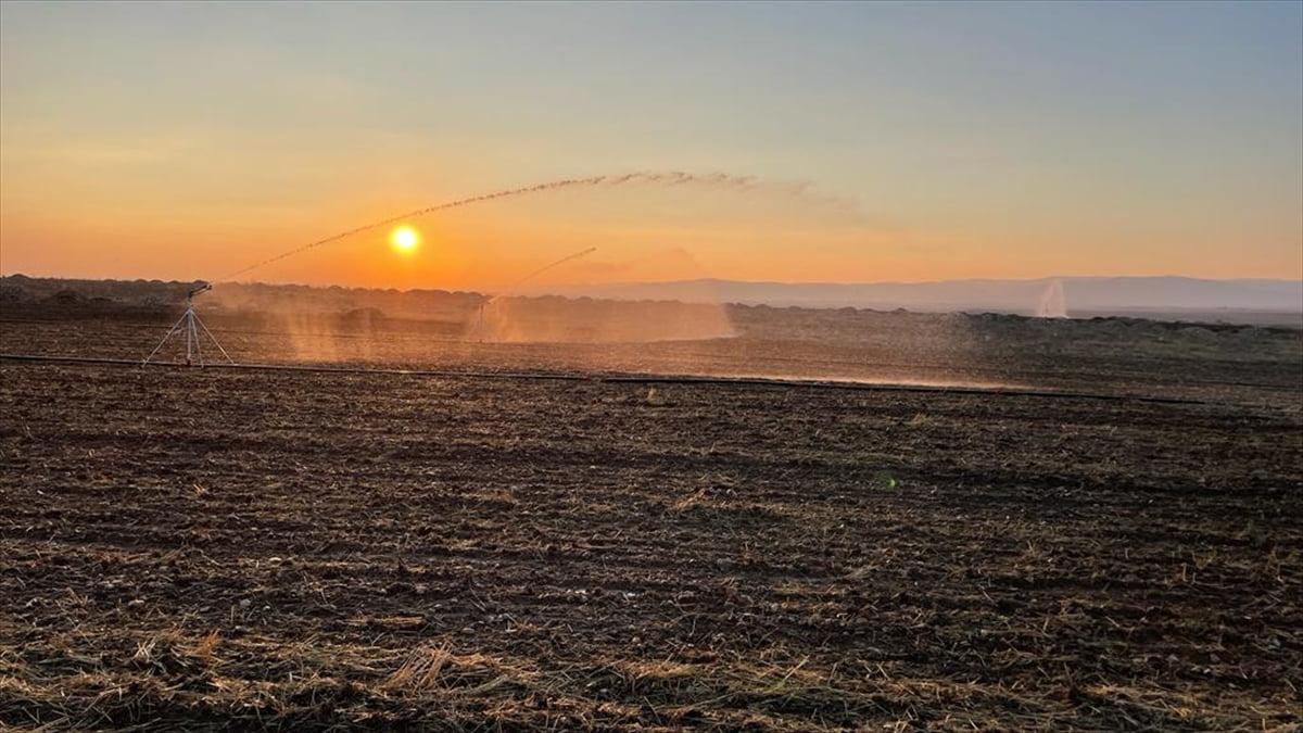 Konya'da tarımda suyun daha verimli kullanılması amacıyla geliştirilen akıllı sulama projesiyle...