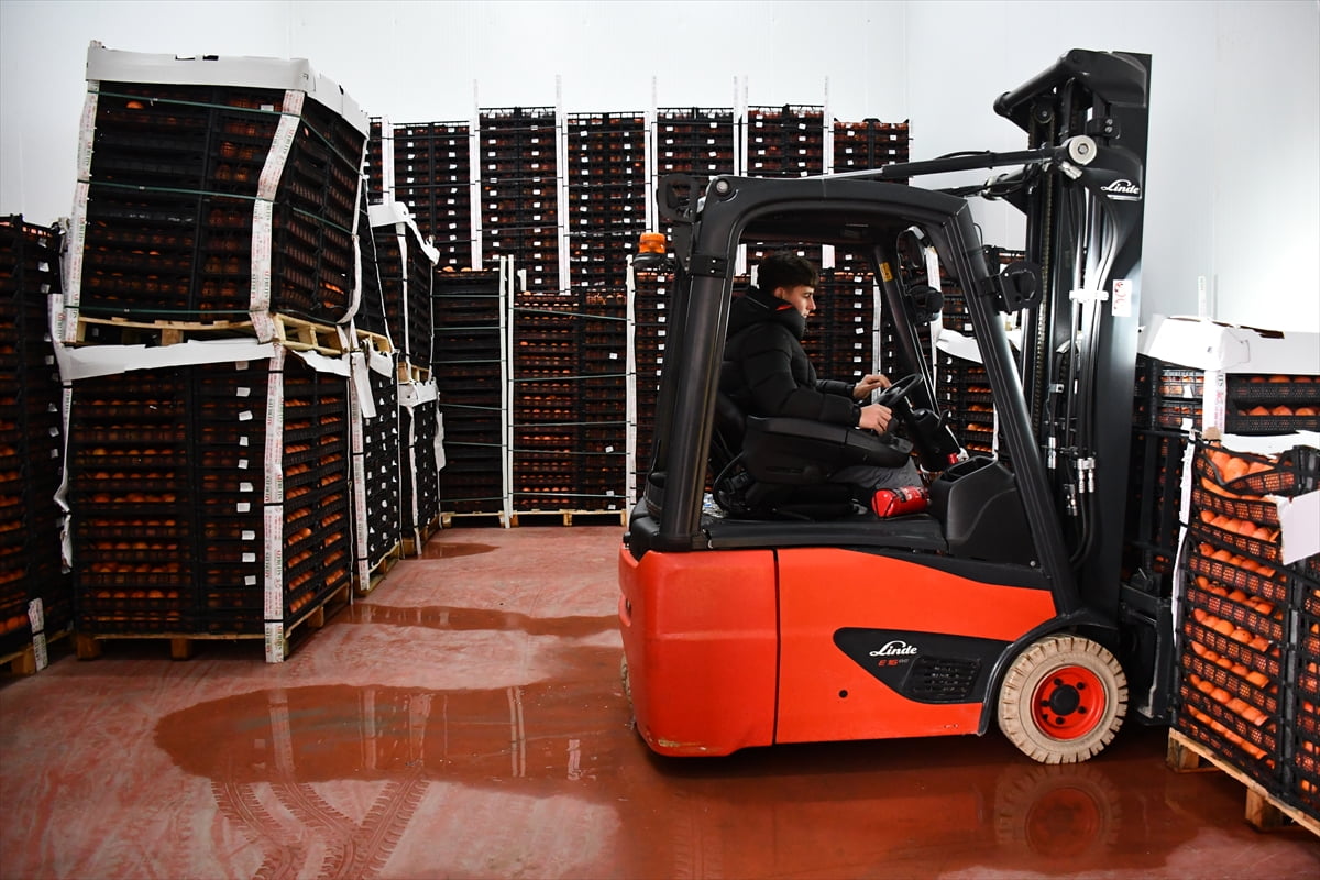 Bilecik'in Osmaneli ilçesine bağlı Çerkeşli köyünde yaşayan Zeynep Genç, Tarım ve Kırsal...