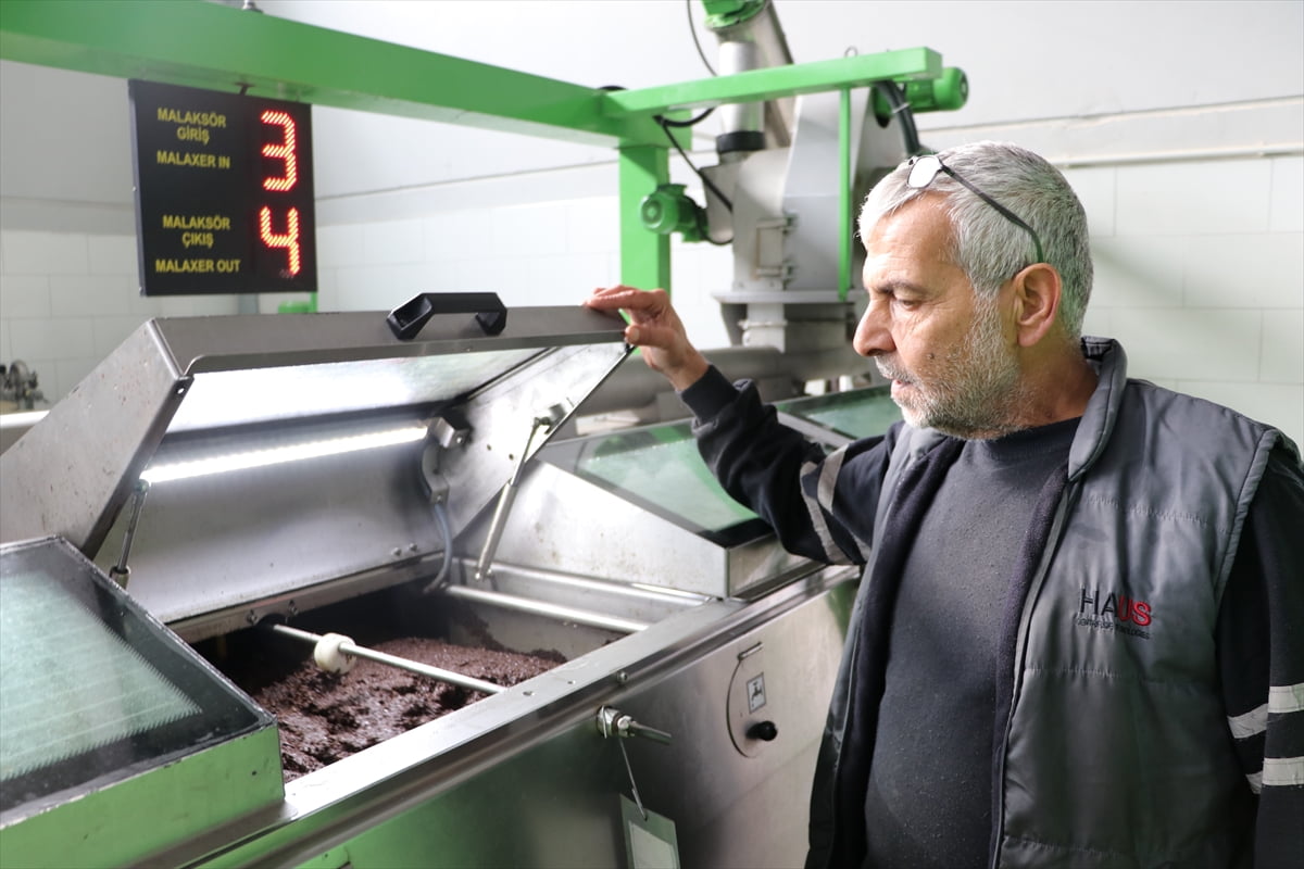 Zeytin ve zeytinyağı alanında faaliyet gösteren küçük ve orta ölçekli firmaların ihracata...