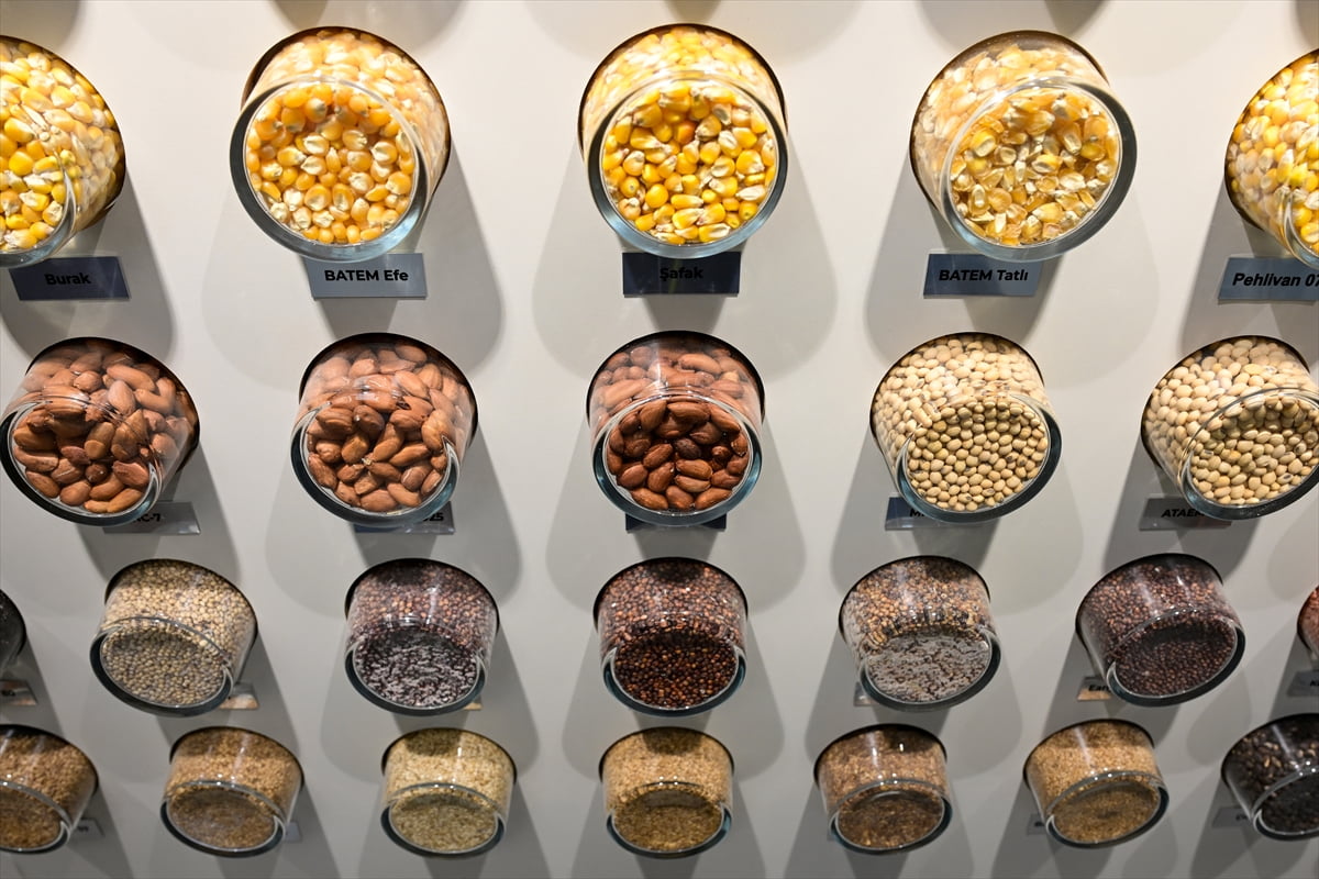 Antalya'da, kurulduğu 1933'ten bu yana yeni ürünler geliştirmek, ıslah yapmak için önemli...