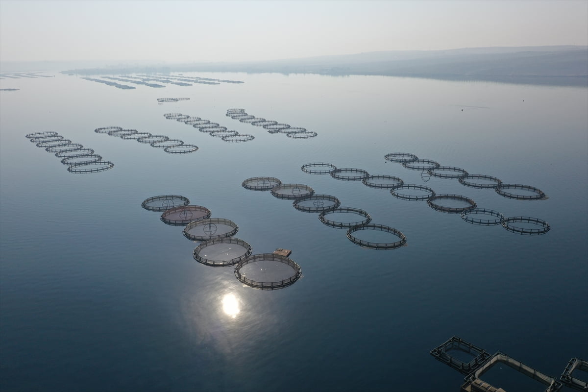Şanlıurfa'da yaklaşık 20 yıl önce Fırat Nehri'nde balık üretimine başlayan ve işini çocuklarıyla...