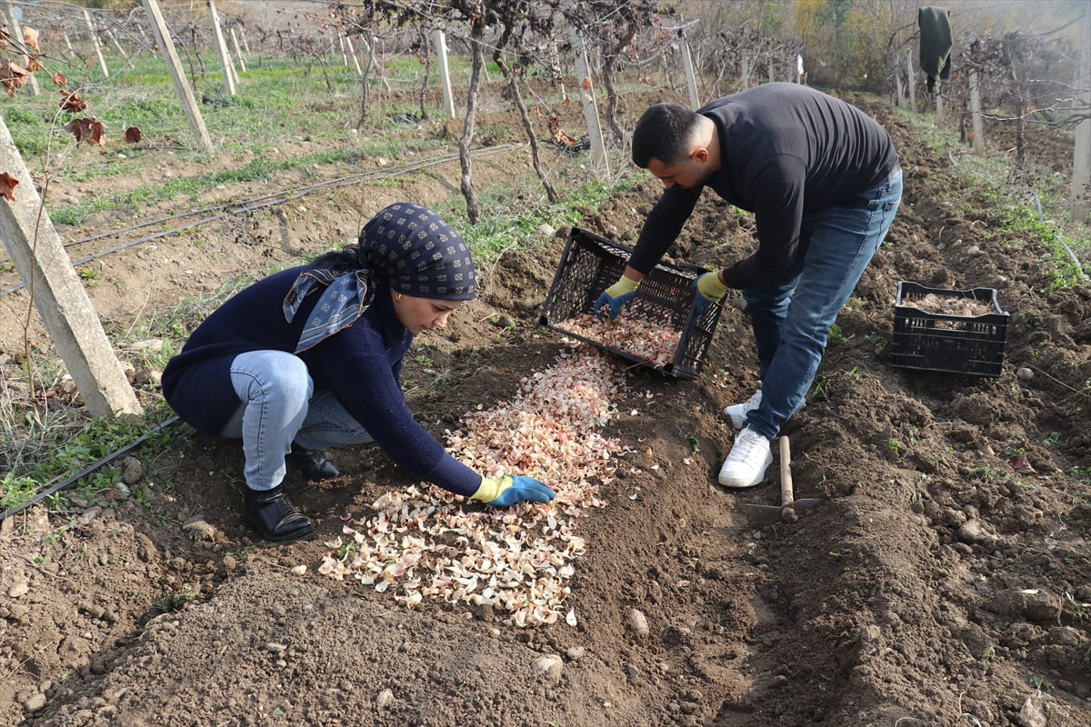 Adana'da ortağı olduğu tekstil atölyesinden ayrılıp tarımla ilgilenmeye başlayan girişimci...