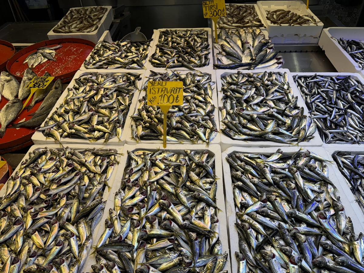 Trabzon'daki balıkçı tezgahlarında hamsi ve istavrit, kilogramı 100 liradan satışa sunuluyor....