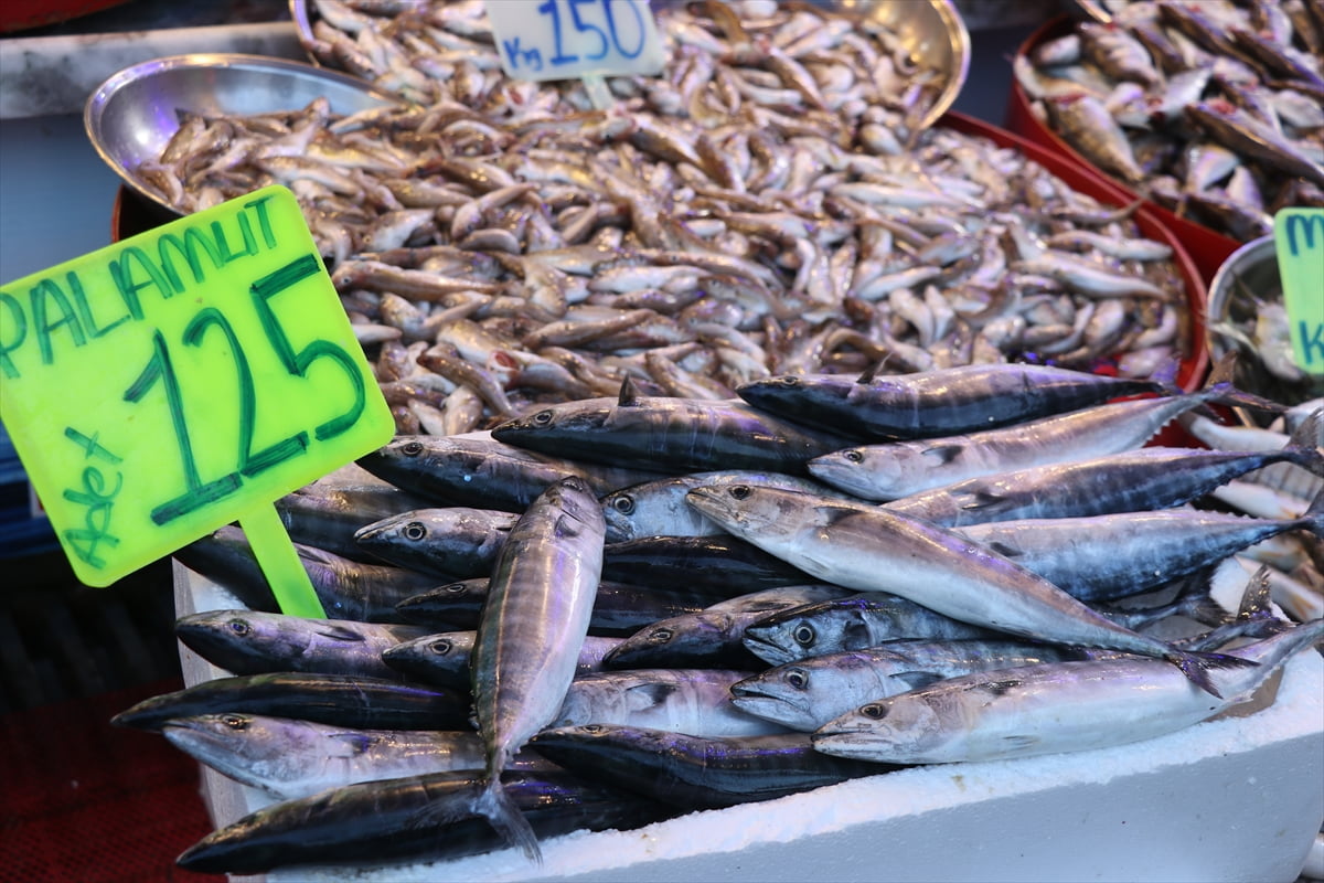 Rize'de balıkçı tezgahlarında en çok ilgi gören istavritin kilogramı 100 liradan satışa...