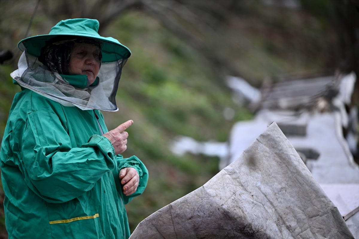 Düzce'nin Yığılca ilçesinde arıcılık yapan babasından 45 yıl önce mesleği öğrenen Hacer Uğurlu...
