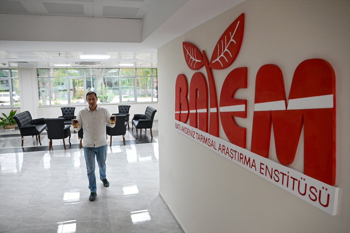 Lezzeti ve yüksek getirisiyle öne çıkan tropikal meyvelerin Türkiye'ye adaptasyonu için süren...