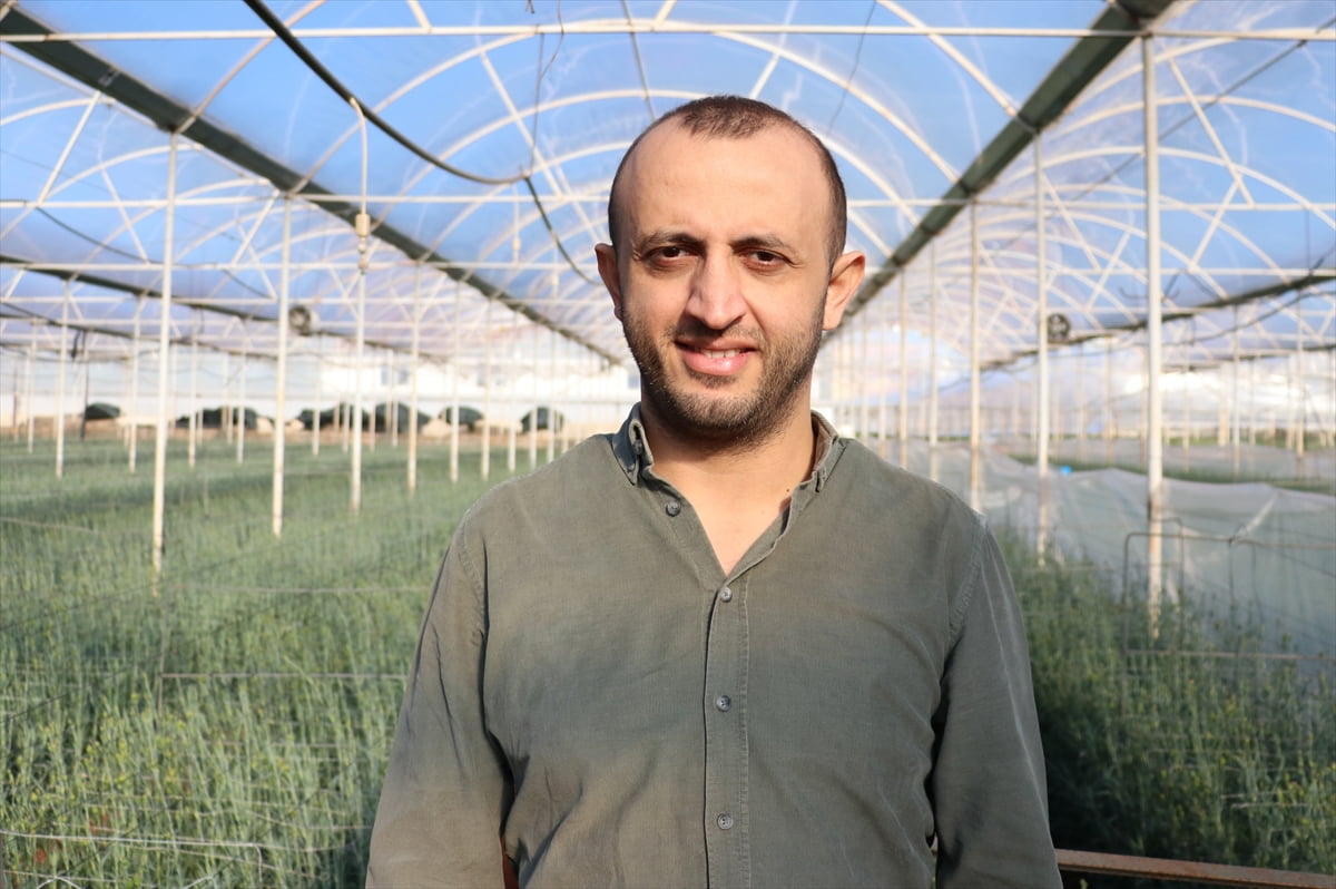 Batı Akdeniz Tarımsal Araştırma Enstitüsü Müdürlüğünce (BATEM) geliştirilen 4 yerli karanfil...