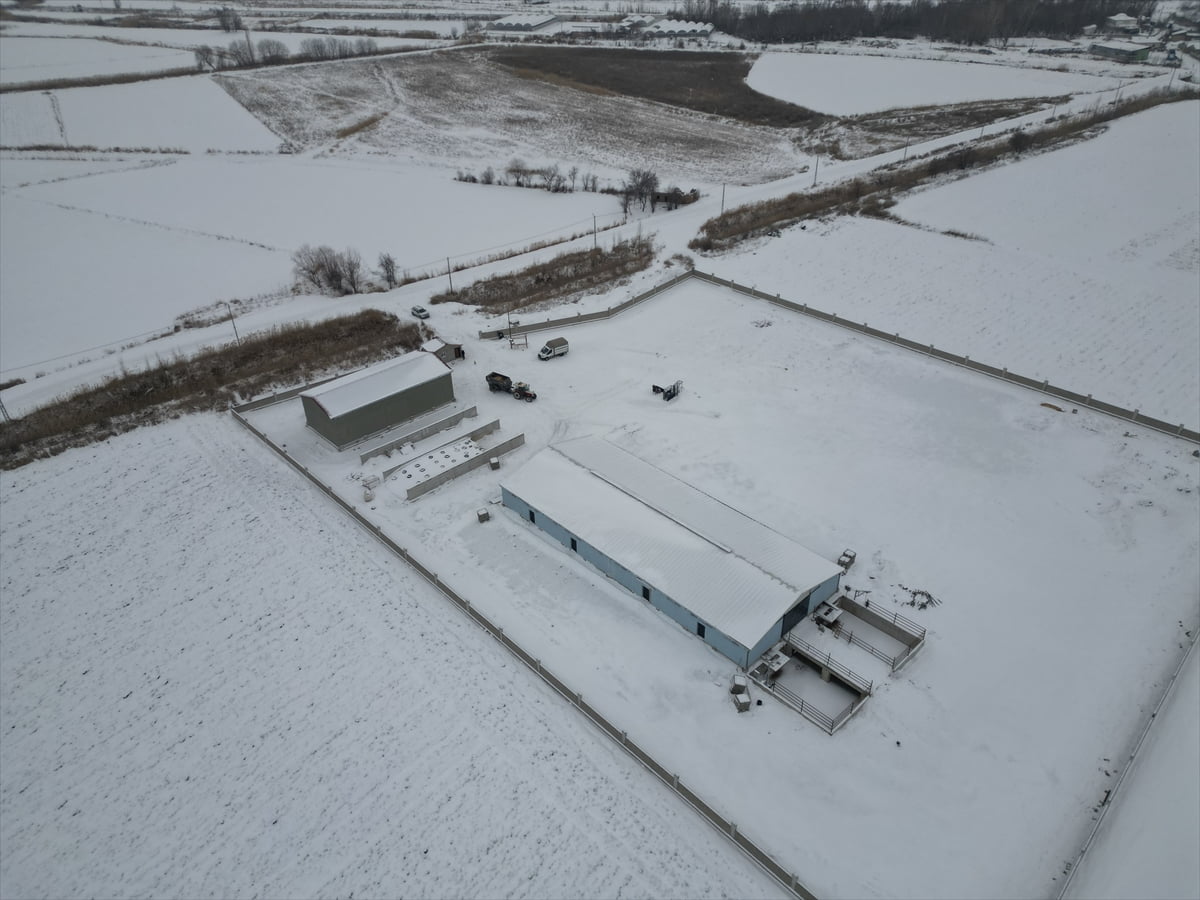 Erzincan'da yaşayan genç girişimci Sezer Andağ, yüzde 50 hibe destekli kurduğu modern işletmede...