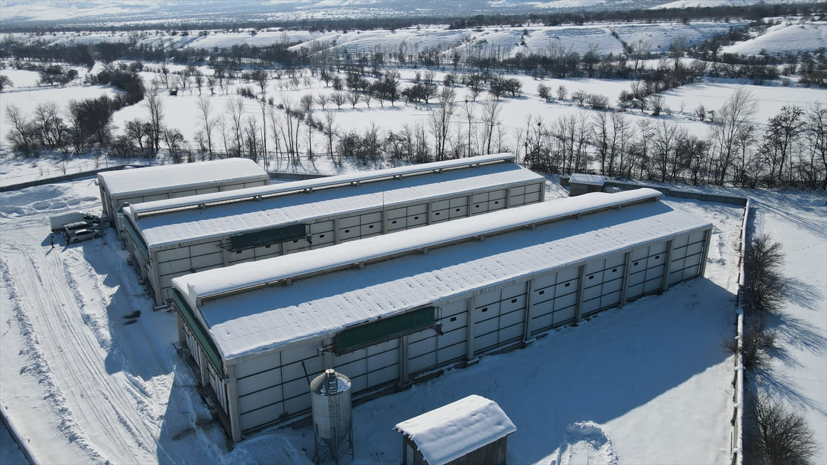 Erzincan'da, Tarım ve Kırsal Kalkınmayı Destekleme Kurumunun (TKDK) hibe desteğiyle kurulan modern...