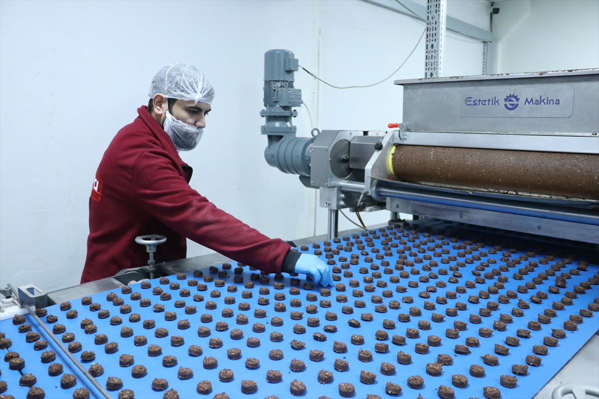  Devletten yaklaşık 200 milyon lira yatırım teşviki ile Kayseri'de 500 milyon liralık glütensiz...