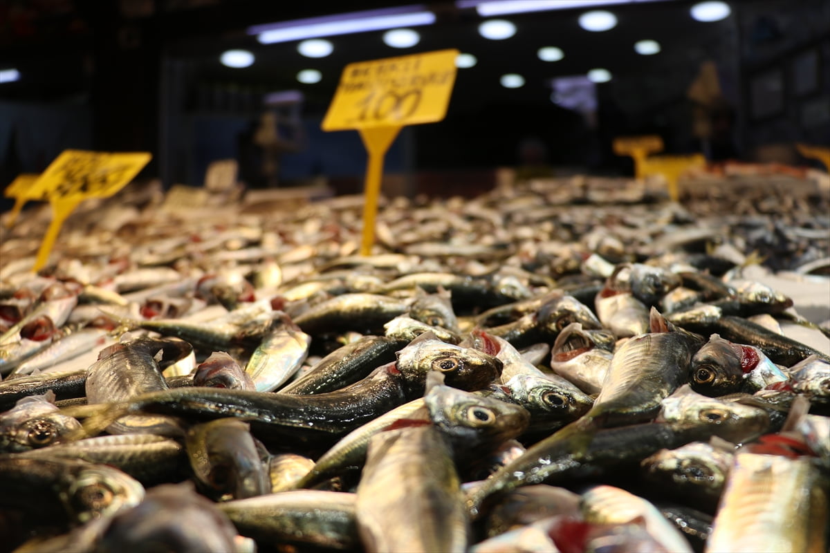 Trabzon'da balıkçı tezgahlarını süsleyen istavrit, kilogramı 100 liradan satışa sunuluyor.