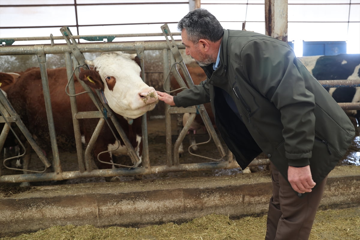 Nevşehir'in Acıgöl ilçesinde, Tarım ve Kırsal Kalkınmayı Destekleme Kurumundan (TKDK) aldığı...