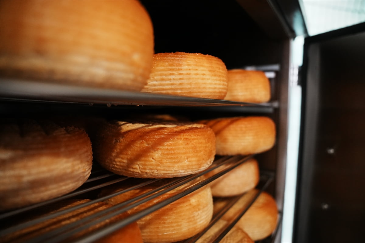 Çanakkale'nin Biga ilçesinde faaliyet gösteren Biga Kadın Çevre, Kültür ve İşletme Kooperatifi...